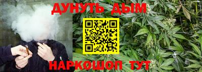 спиды Можга